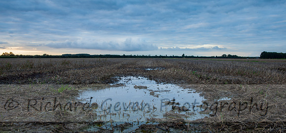 Duivensebroek