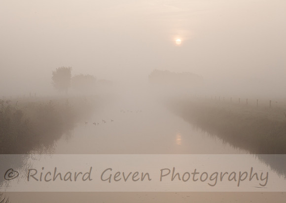 rgeven2016-8784
