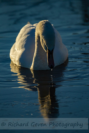 CR0H5219