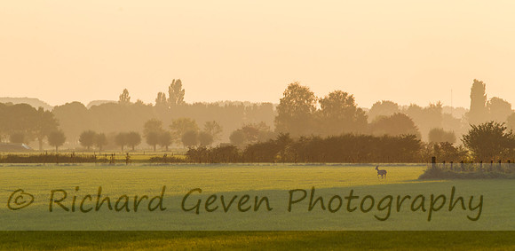 rgeven20151003-3125