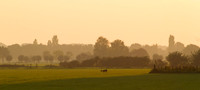 rgeven20151003-3135