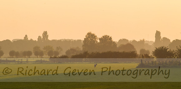 rgeven20151003-3129