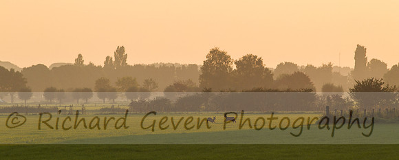rgeven20151003-3147