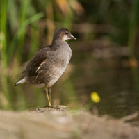 rgeven2016-7537