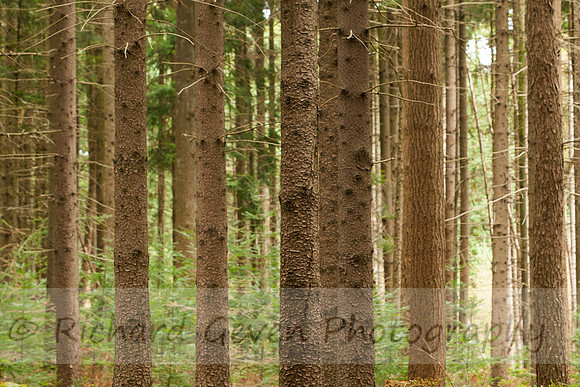 rgeven2016-0550
