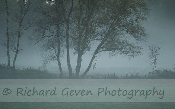 rgeven2016-3057