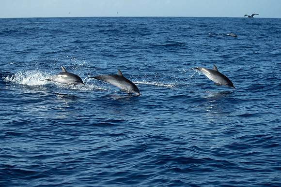 20261010-_PZ29558