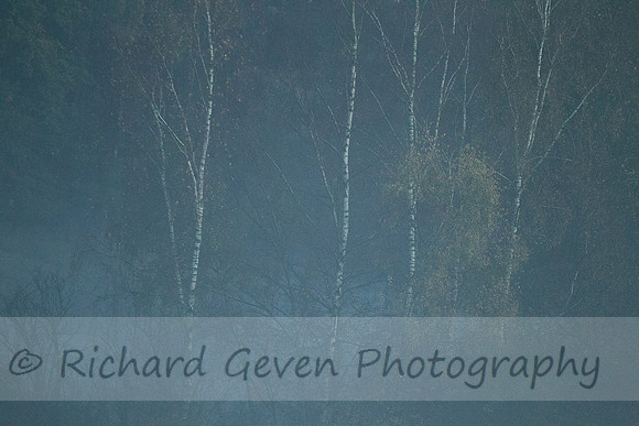 rgeven2016-3022