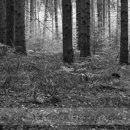 rgeven2016-0552
