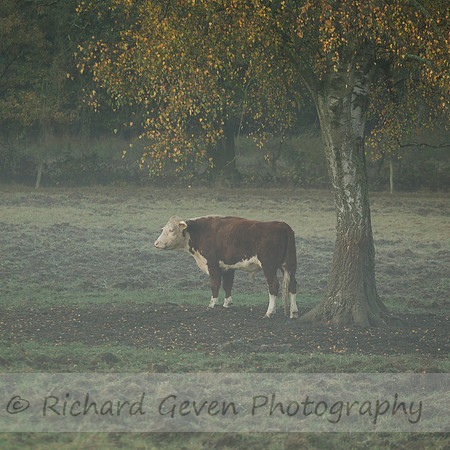 rgeven2016-3087
