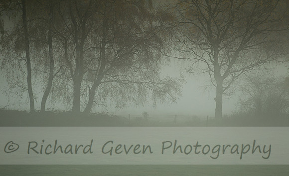 rgeven2016-3062
