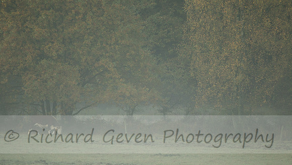 rgeven2016-3092