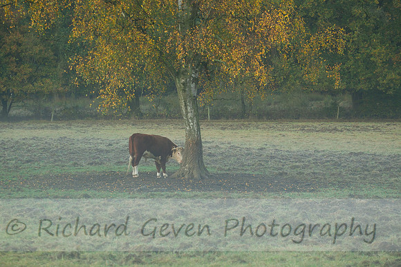 rgeven2016-3069