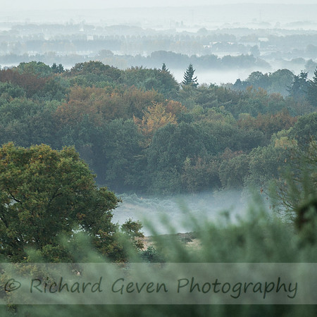 rgeven2016-3095