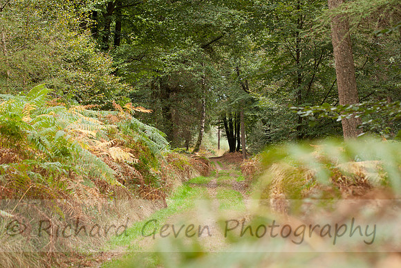 rgeven2016-0462