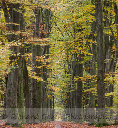 rgeven2016-4752