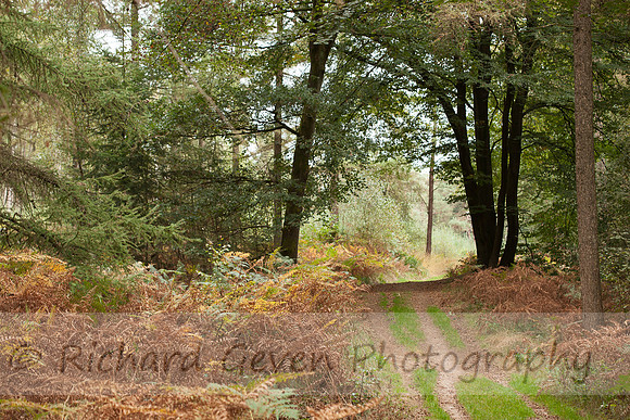 rgeven2016-0464