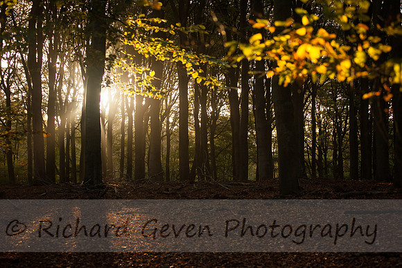 rgeven2016-0768