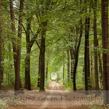 rgeven2016-0543