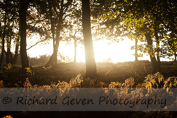 rgeven2016-0728