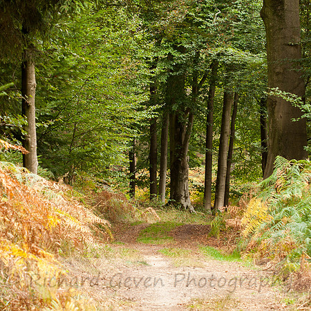 rgeven2016-0456