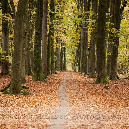 rgeven2016-4205