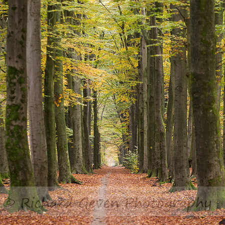 rgeven2016-4758