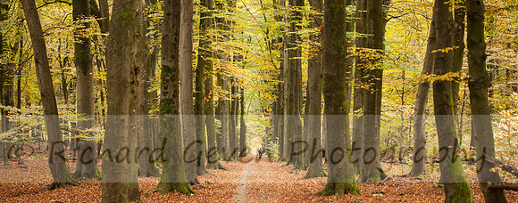 rgeven2016-4204