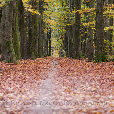 rgeven2016-4751